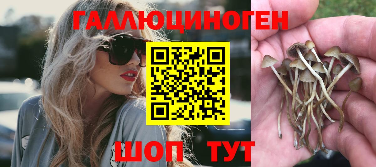 Галлюциногенные грибы мицелий Благовещенск